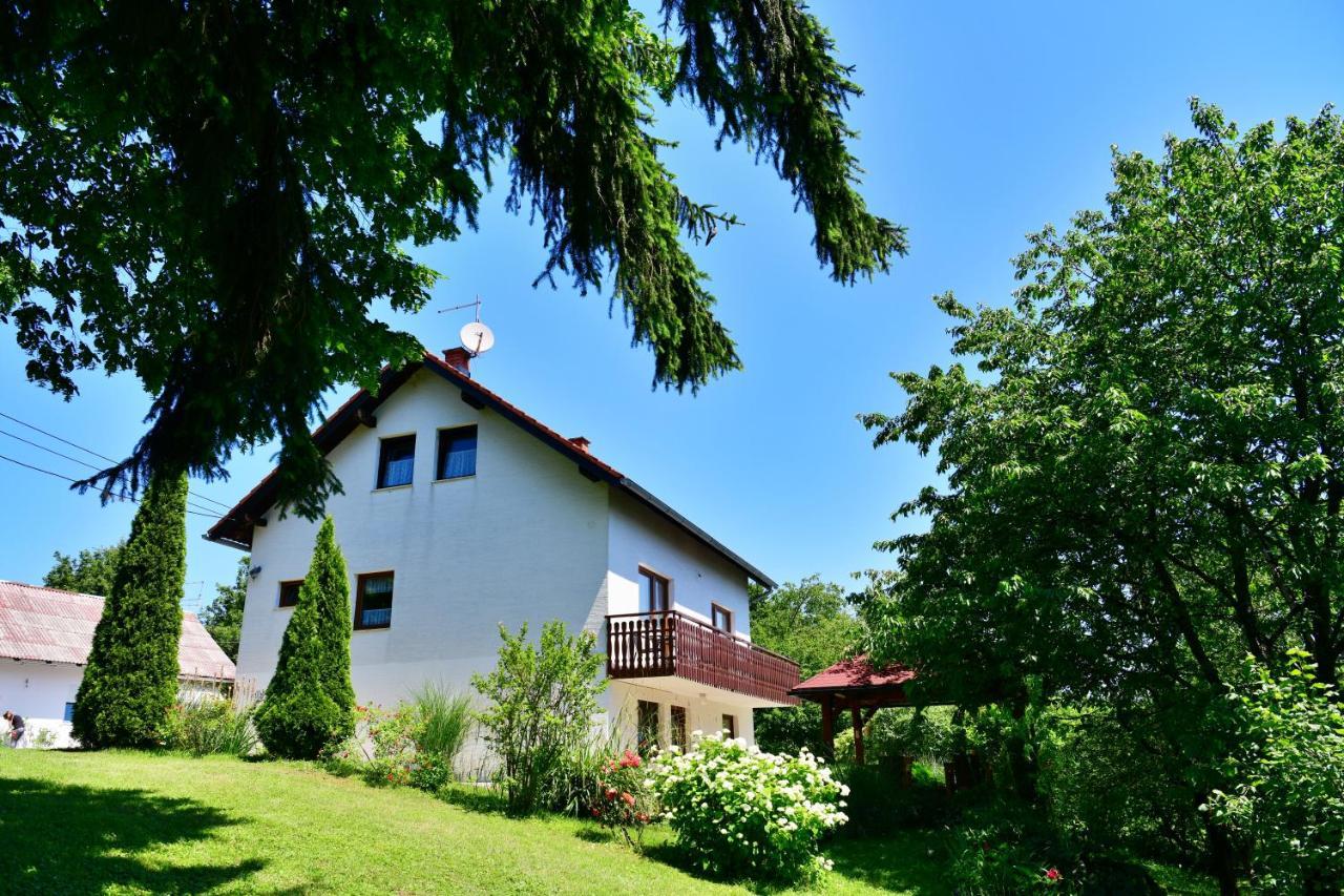 Apartment And Rooms Ivancica Seliste Dreznicko Exterior foto